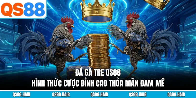 đá gà tre qs88